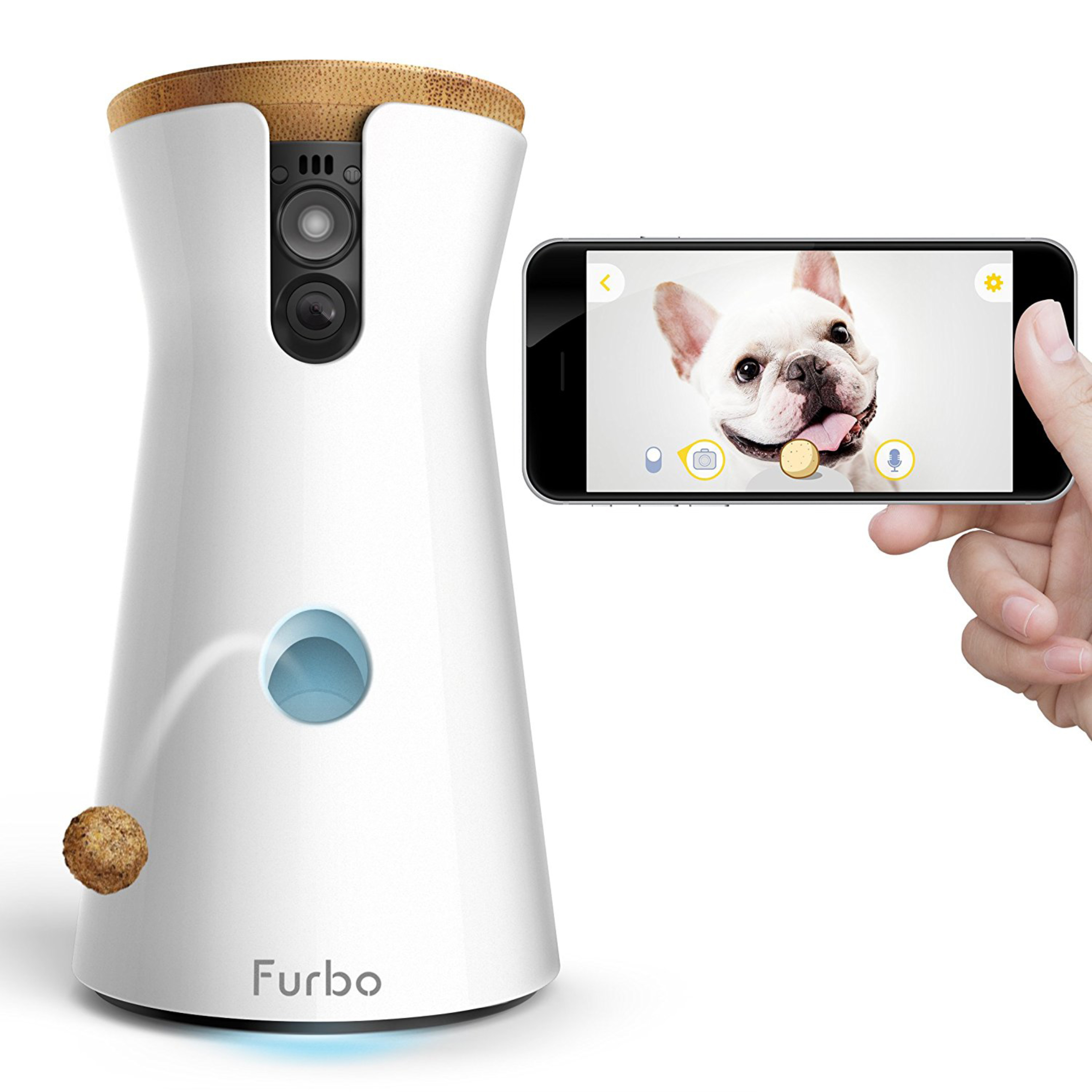 Review of the Furbo Dog Camera